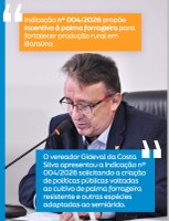 Indicação propõe incentivo à palma forrageira para fortalecer produção rural em Baraúna